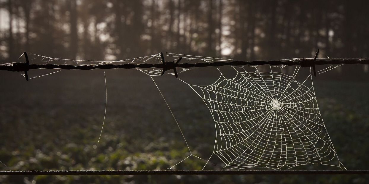 Headerbild