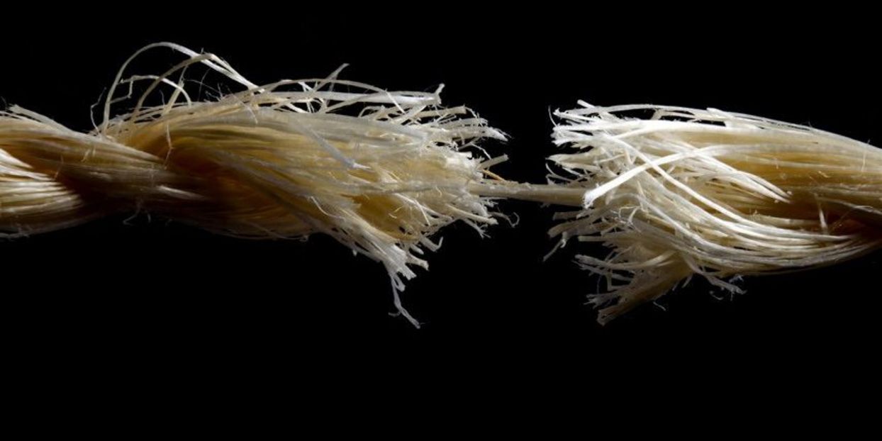 Headerbild